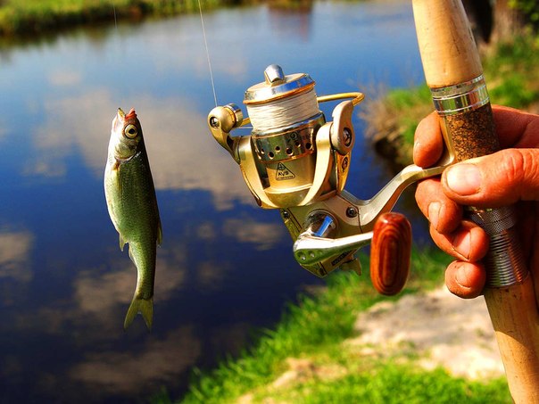 РЫБАЛКА НА БАЗЕ ОТДЫХА